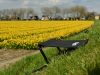 FixSeat in bloembollenveld